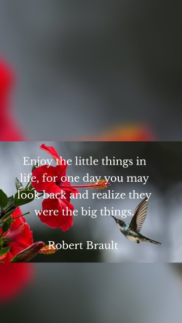 Enjoy the little things in life, for one day you may look back and realize they were the big things. Robert Brault