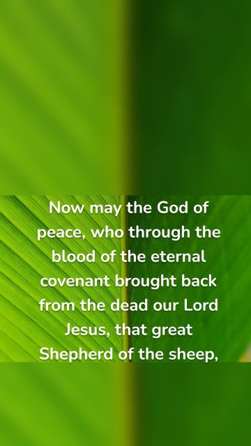 Now may the God of peace, who through the blood of the eternal covenant brought back from the dead our Lord Jesus, that great Shepherd of the sheep,